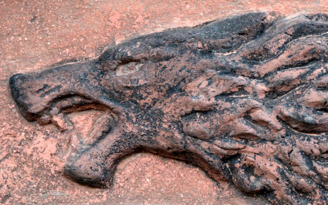 Lobo negro – relieve