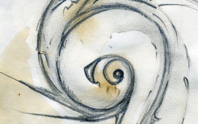 «El ojo de la voluta disoluta» Dibujo a lápiz y café.