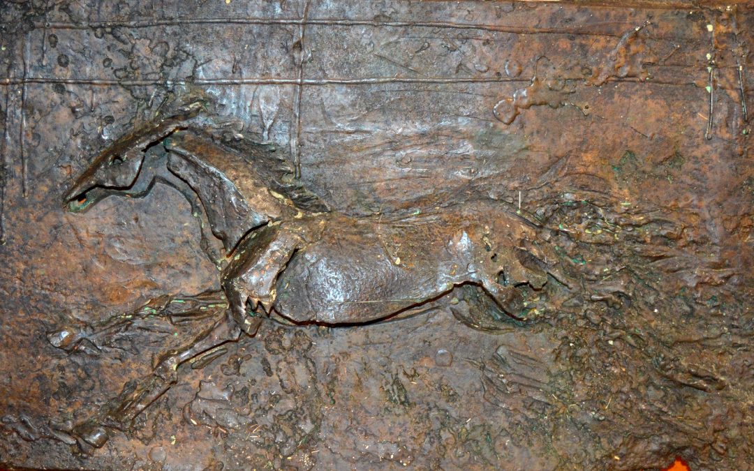 Universo-ExpoFederales 2022