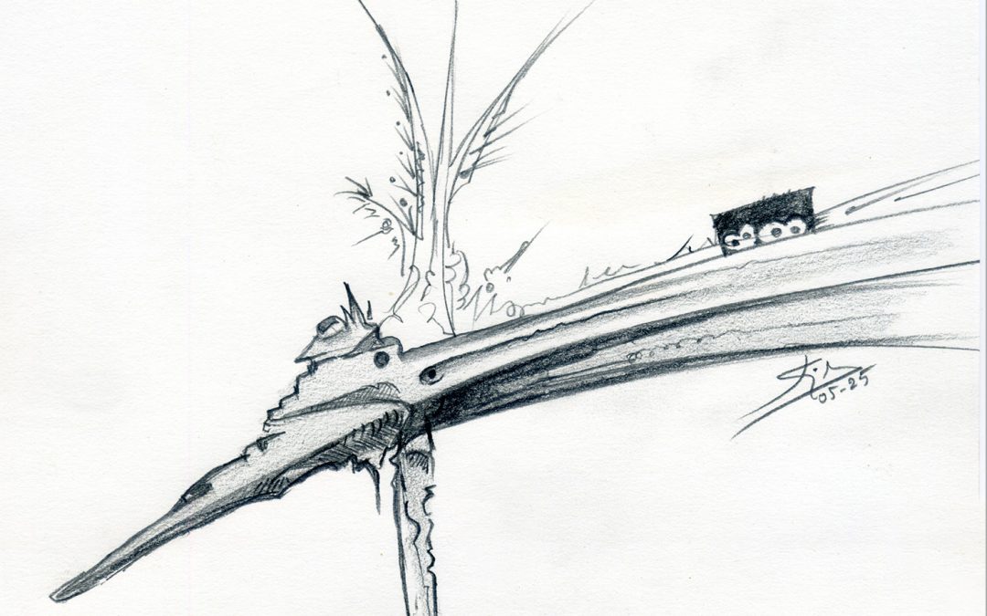 Dibujos a lápiz 05-25