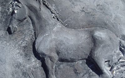  «Caballo español»