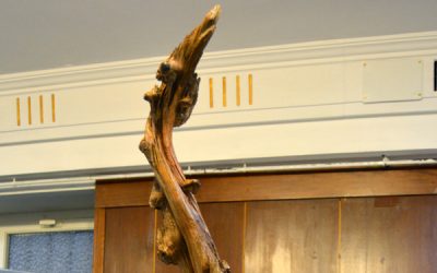 «Fenix»- Exposición Federales 2022