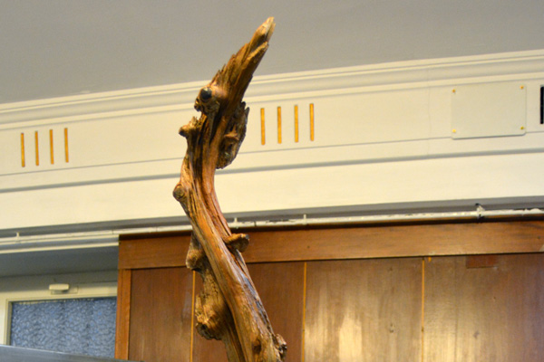 «Fenix»- Exposición Federales 2022