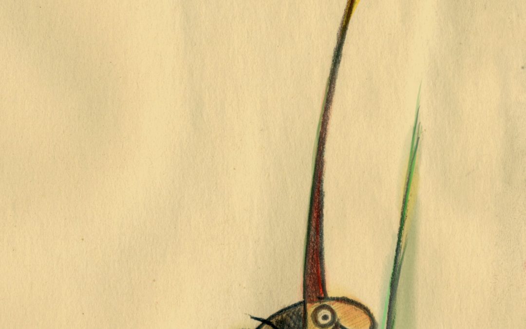 «Ser florero»
